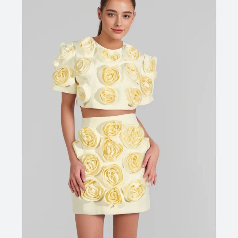 NWT Luxe Dress Rose-appliqué Cropped Top / Skirt Set In Gelb Yellow Large - Picture 13 of 16